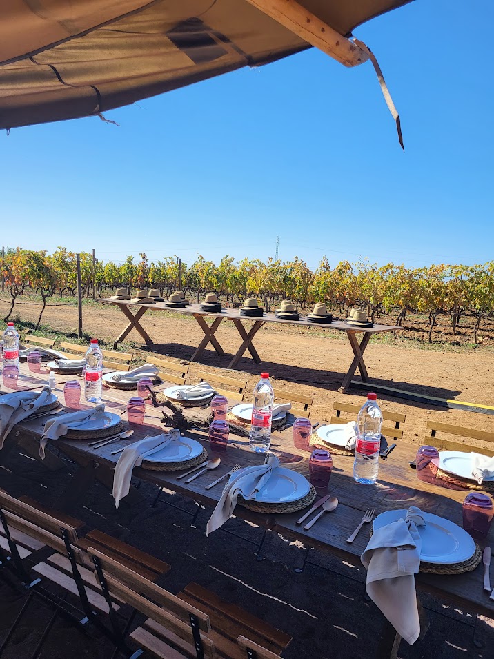 Meals in vineyards in the Canary Islands